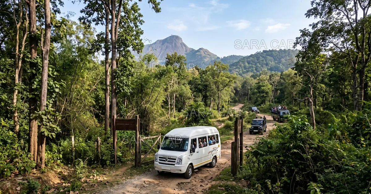 Chennai to Bandipur & Mudumalai Tiger Reserve Tour - Sara Cab