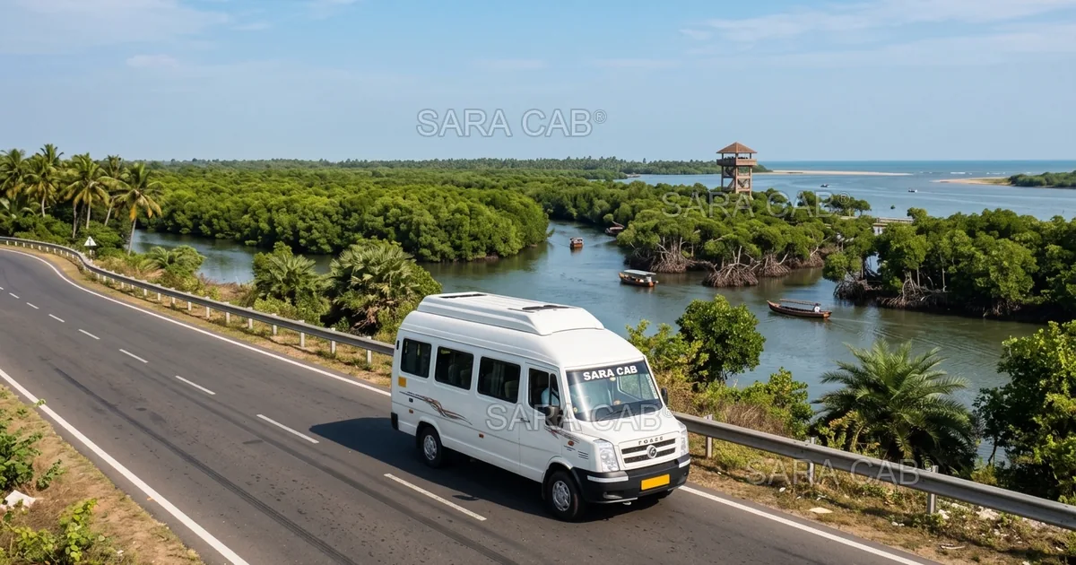 Chennai to Pichavaram Mangrove Boating Tour - Sara Cab